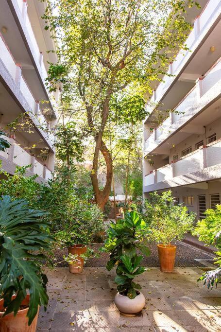 Chic With Views On Kloof Street Apartment